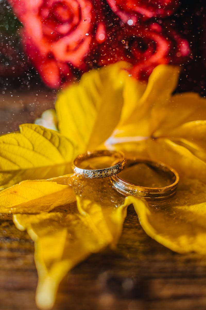 Wedding Rings On Yellow Leaves