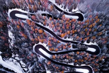 Black Paved Road Surrounding by Trees