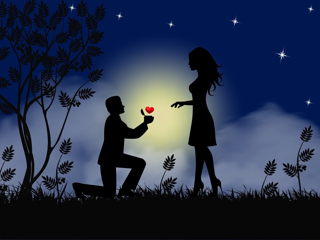 couple, love, proposal