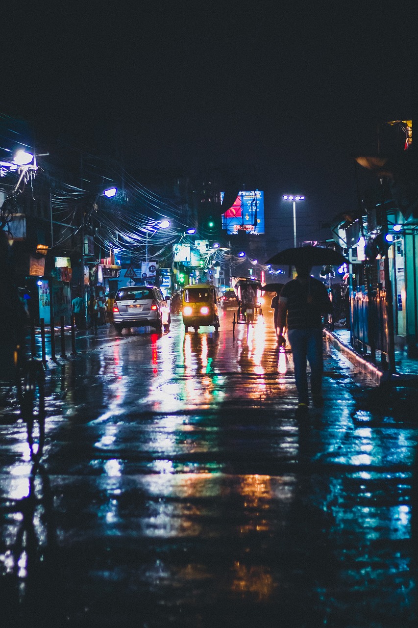 street, rain, nature