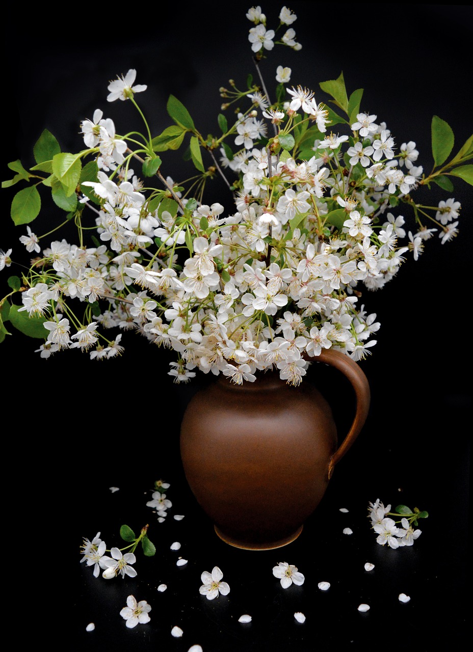 vase, still life, bouquet