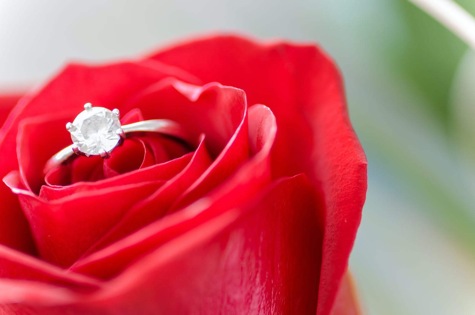 Silver-colored Ring in Rose