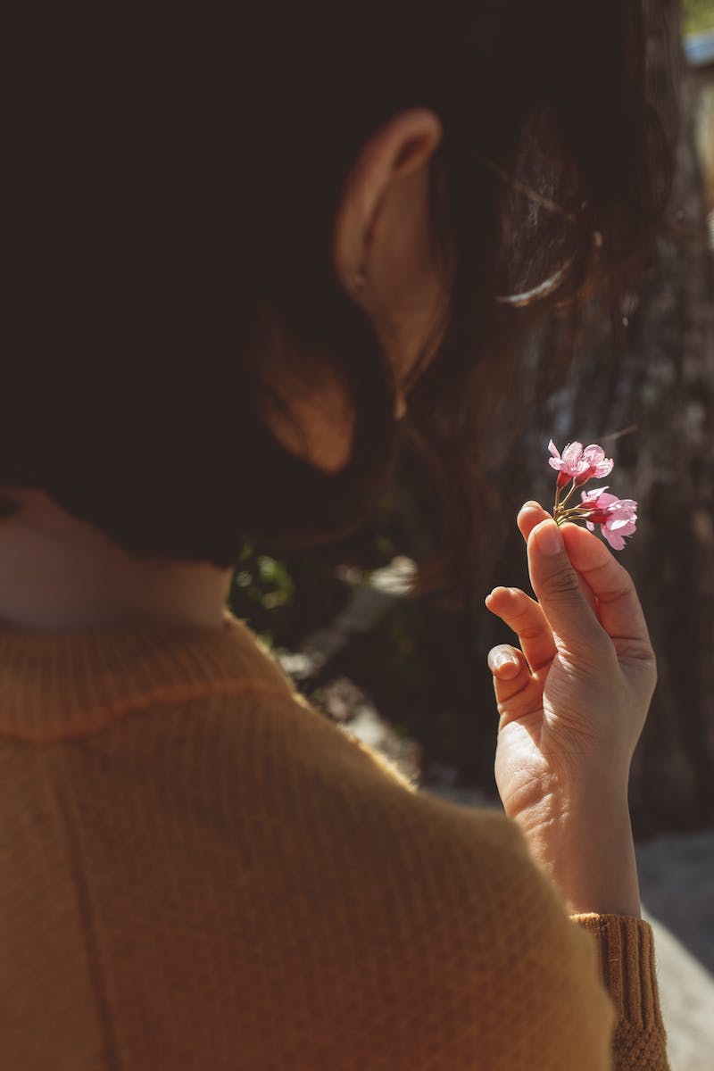 Pink Flowers in Woman's Hand