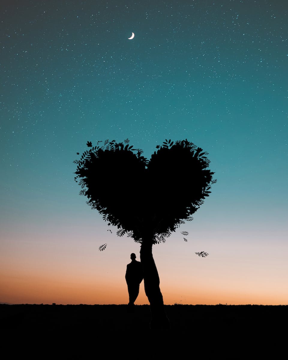 Silhouette Photo of Man Leaning on Heart Leaf Shape Tree during Dawn