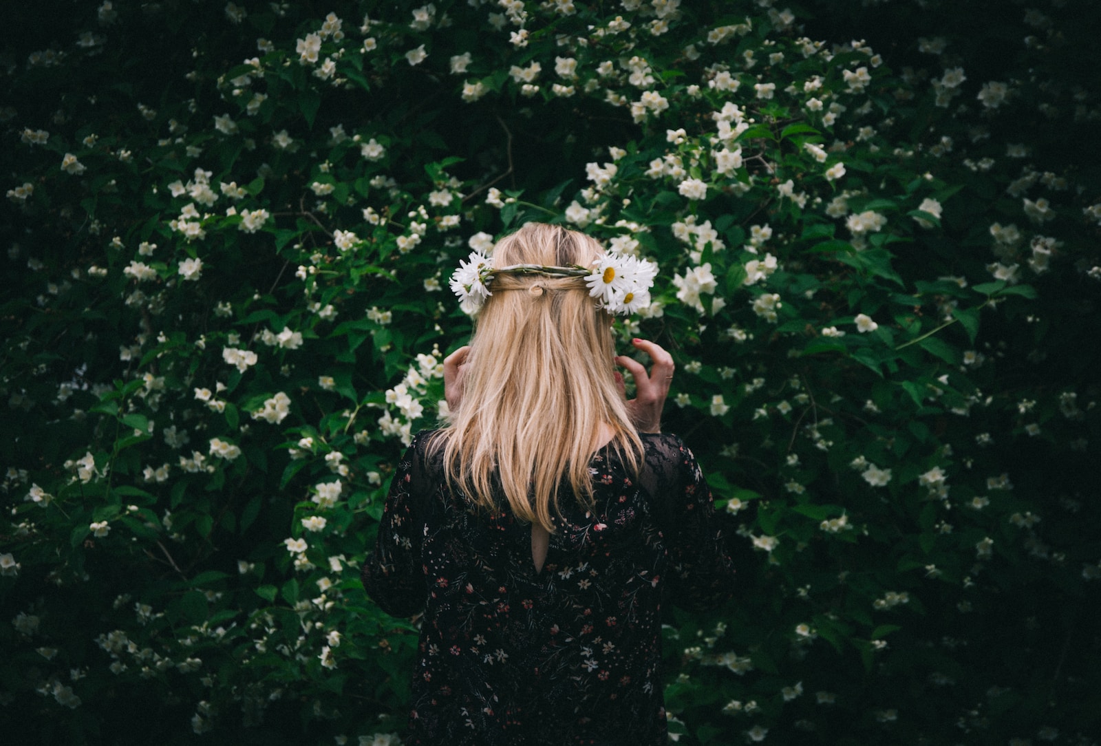 selective focus photography of woman standing in front of white petaled flowers