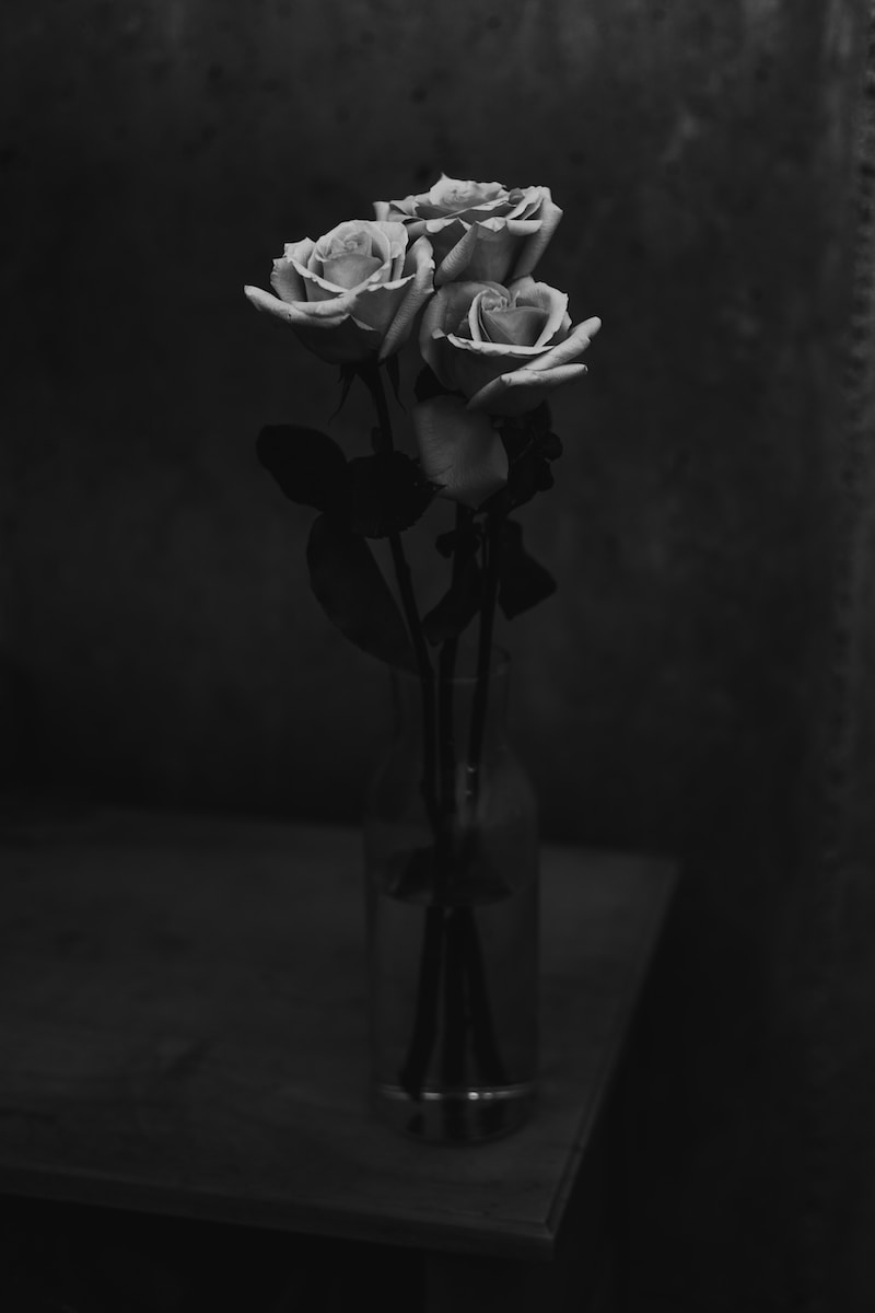 three rose flowers in vase