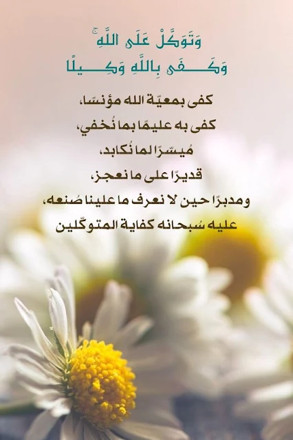 صور اسلاميه