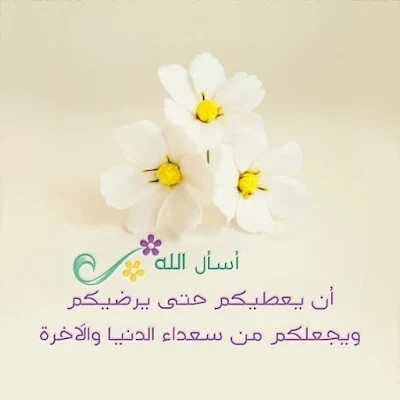 صور اسلامية