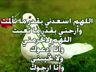 صور اسلاميه