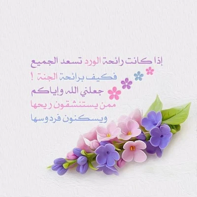 صور اسلاميه